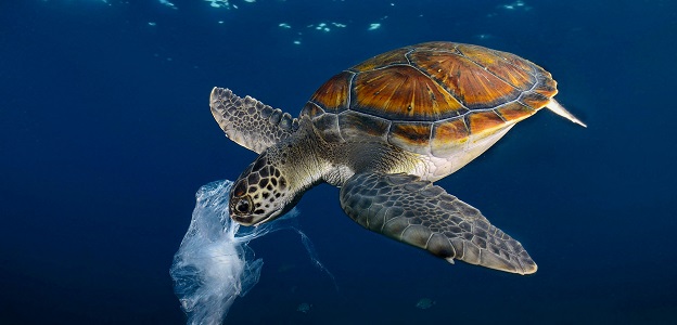 sampah plastik laut