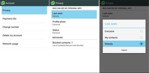 Cara Tidak Terlihat Online di Whatsapp