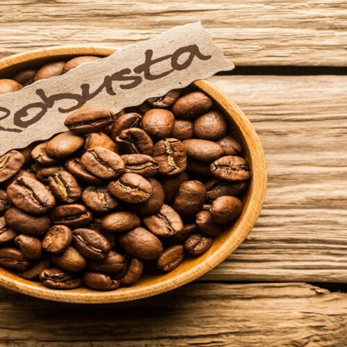 jenis biji kopi robusta