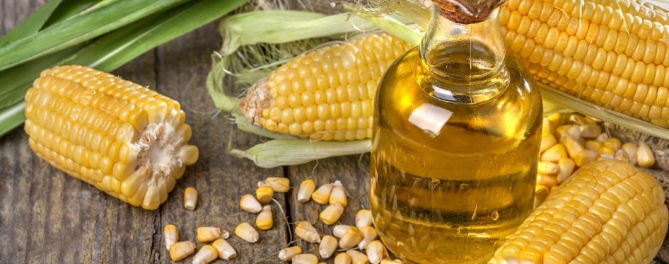 minyak sayur dan minyak jagung