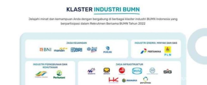 jenis badan usaha bumn
