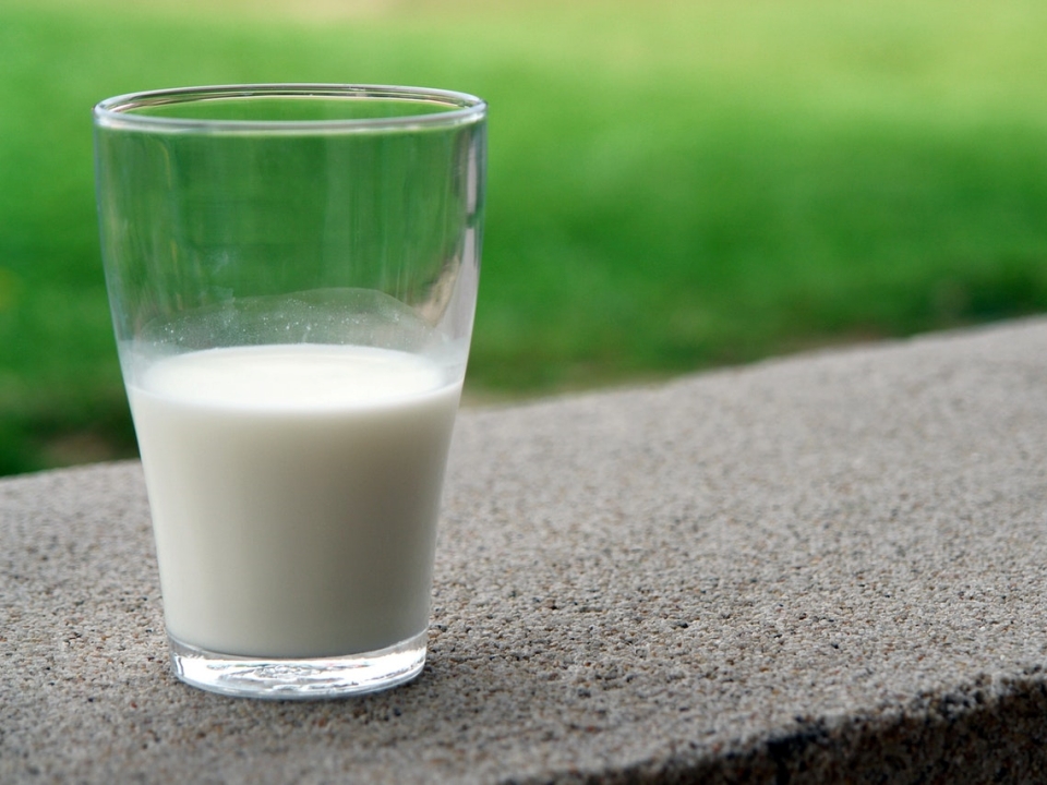 Produk Susu