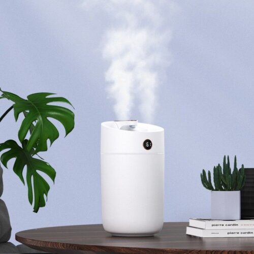 air humidifier