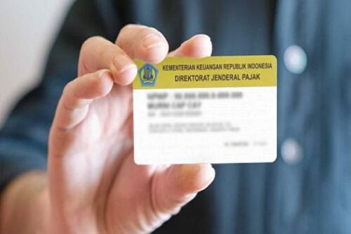 cara cetak npwp
