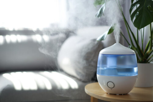 perbedaan purifier dan humidifier