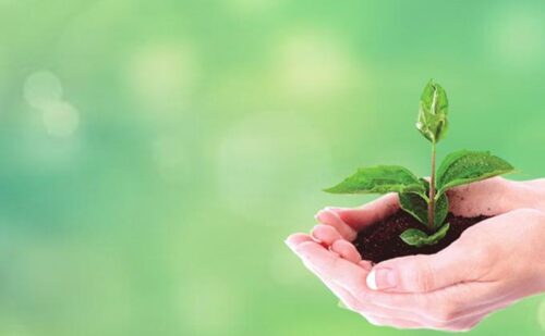 pengertian green marketing