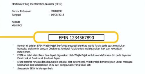 Fungsi EFIN Pajak