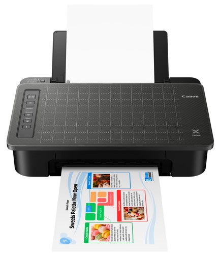 Printer Canon Inkjet PIXMA TS307