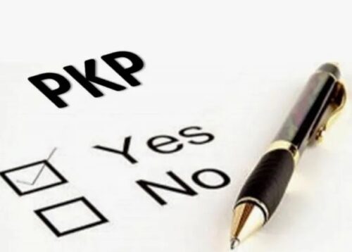 perusahaan pkp